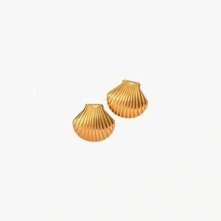 Oceanic Shell Earring
